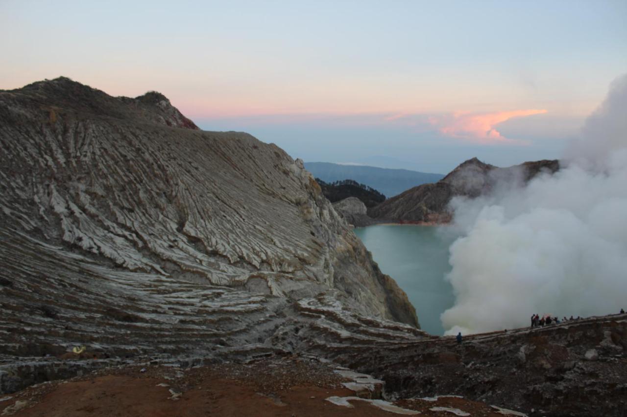 Backpacker Kawah Ijen Hostel Banyuwangi  Exterior foto